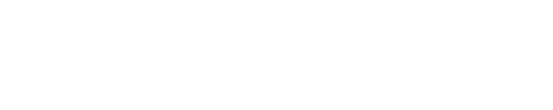 Klein Legal Litigation + Dispute Solutions